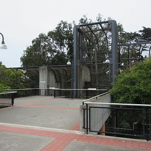 Primate Discovery Center