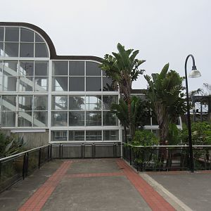 Primate Discovery Center