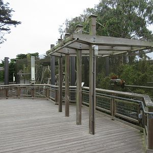 Lemur Forest - Visitor Boardwalk