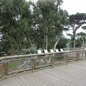 Lemur Forest - Visitor Boardwalk