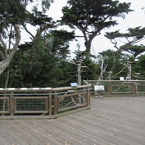 Lemur Forest - Visitor Boardwalk