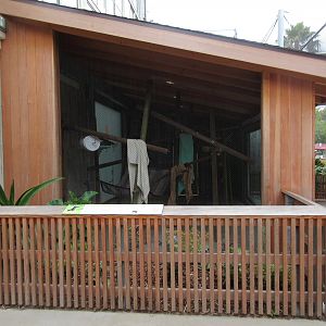 Coquerel's Sifaka Exhibit (New in 2016)