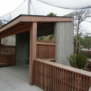 Coquerel's Sifaka Exhibit (New in 2016)