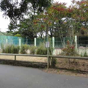 Greater One-Horned Rhino Exhibit (half of the enclosure)
