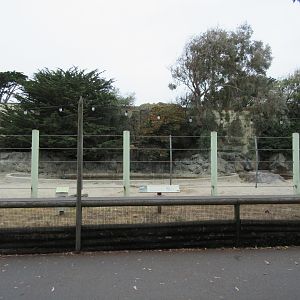 Greater One-Horned Rhino Exhibit (half of the enclosure)