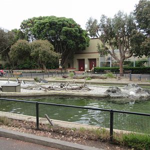 Penguin Island (with Lion House in background)