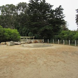 Black Rhino Exhibit (only a portion of entire enclosure)