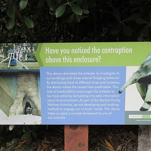 Giant Anteater Exhibit - innovative idea explained on sign