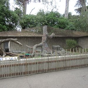 Bobcat Exhibit