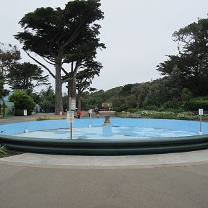 Empty Water Fountain