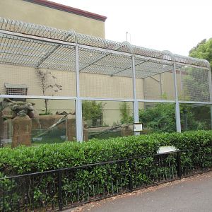 Fishing Cat Exhibit