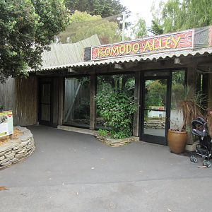 Komodo Dragon Exhibit (incredibly tiny)