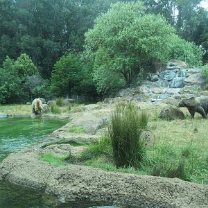 Grizzly Gulch - photo taken at underwater viewing window