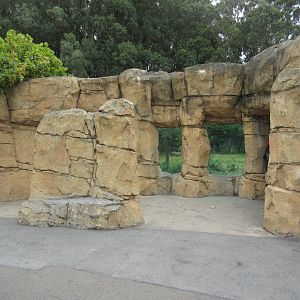 Grizzly Gulch (viewing windows)