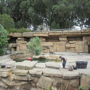 Grizzly Gulch (keeper spreading treats in first half of exhibit)