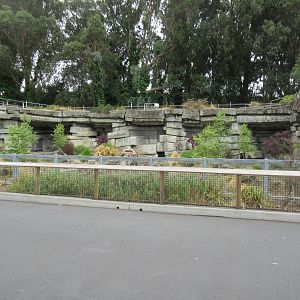 Wolf Canyon (New in 2016)