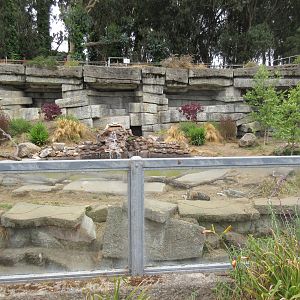 Wolf Canyon (New in 2016)