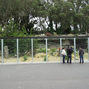 Wolf Canyon (New in 2016)