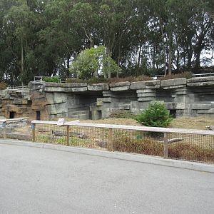 Empty Exhibit (old Polar Bear enclosure)