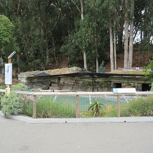 California Sea Lion Exhibit