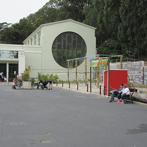 South American Tropical Rainforest & Aviary