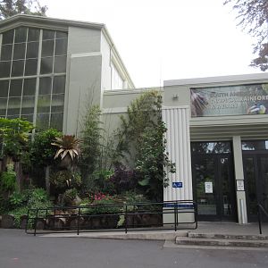 South American Tropical Rainforest & Aviary