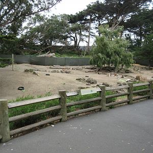 Australian WalkAbout