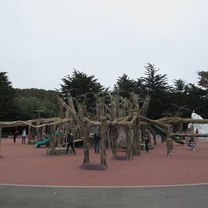 Play Area