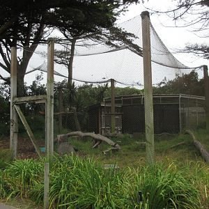 Eurasian Eagle Owl Aviary
