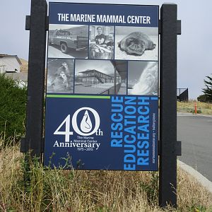 Entrance Sign (one of many signs alongside a steep road)