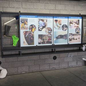 Interpretative Material