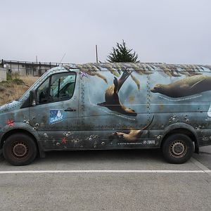 Center's Van