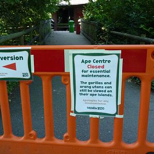 Closed Ape house, July 2017