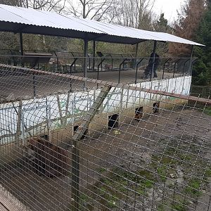 Brown bear enclosure
