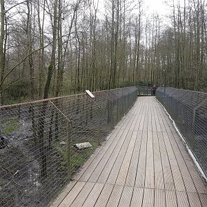 Walk-way along Brown bear and Wolf enclosures