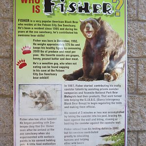 Fisher - a famous zoo animal