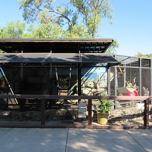 Crab-Eating Macaque Exhibit