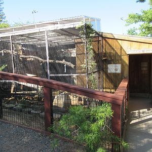 Ringtail/Striped Skunk Exhibit (Miner's Cabin Theme)