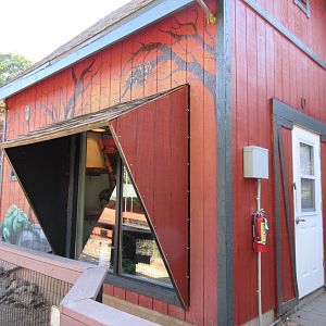Reptile Exhibits (Ball Python + Prehensile-Tailed Skink)
