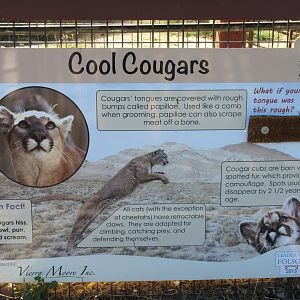 Cougar Exhibit - Sign