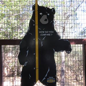 American Black Bear Exhibit - Sign