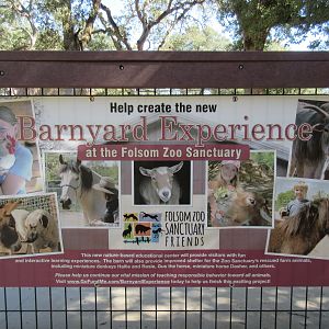 Future Plans - Barnyard Experience