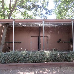 Golden Eagle Exhibit