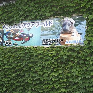 Signage on exterior of building