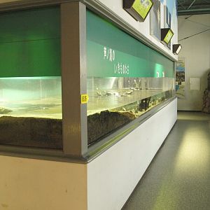 Freshwater tanks