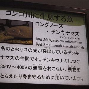 Example of signage