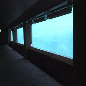 Underwater viewing for Baikal seals