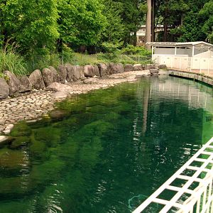 Viewing area for Baikal seals