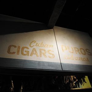 Cuban Cigars