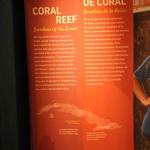 Coral Reef Sign